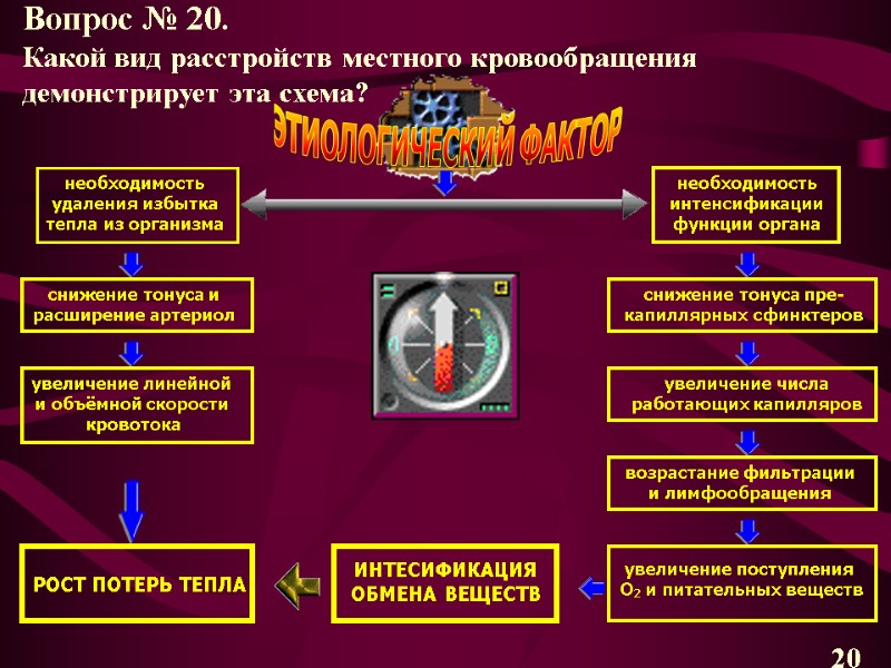 ЭТИОЛОГИЧЕСКИЙ ФАКТОР необходимость удаления избытка тепла из организма снижение тонуса и расширение артериол увеличение